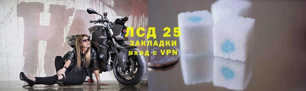амф Елизово