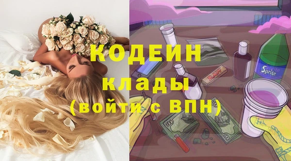 амф Елизово