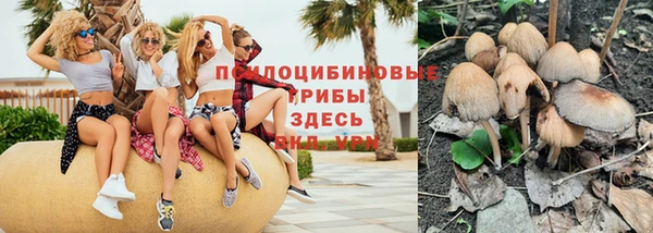эйфоретик Елабуга