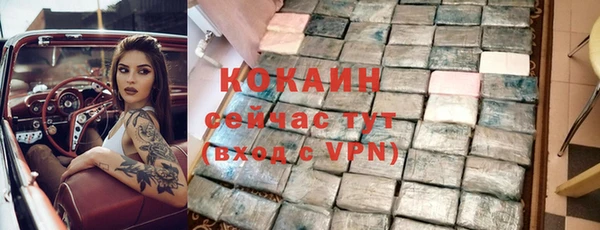 амф Елизово