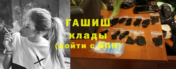 mix Ельня