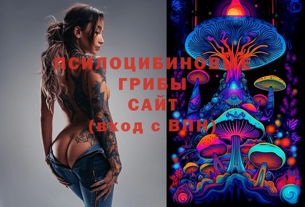 эйфоретик Елабуга