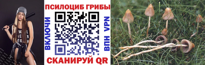 Псилоцибиновые грибы мицелий  Купить где  Медынь 